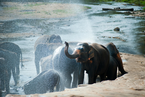 Tour del Triangolo Culturale dello Sri Lanka di 10 giorni+alloggio a 5 stelle