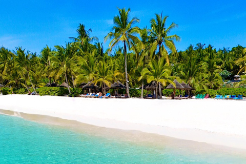 Sesja zdjęciowa Clear Kayak