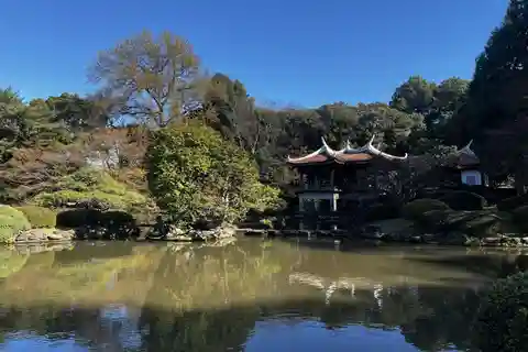 1 Day Walking Tour in Shinjuku and Shibuya: The Best of Both