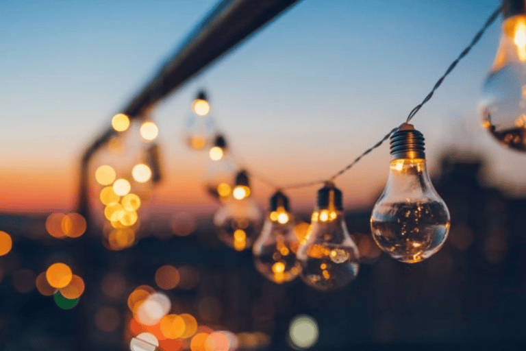 Miami: Sunset Cruise with Open Bar & Skyline Views