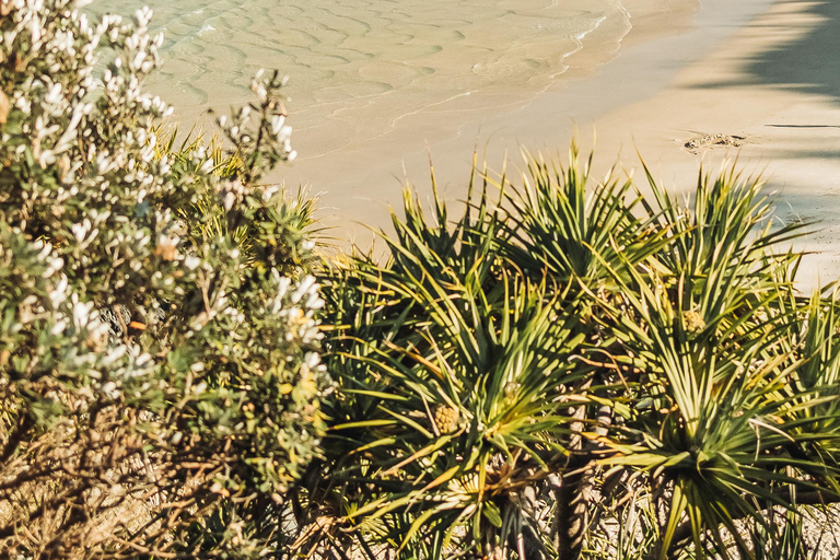 Byron Bay: Behind The Bay Waterfalls & Hidden Gems Day Tour