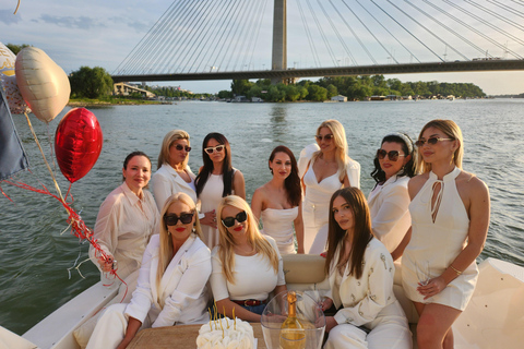 Belgrade Private Yacht Cruise | Sava River