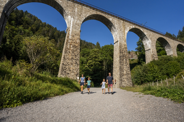 From Basel: Day trip Black Forest culture and indulgence