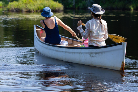 Flores, Peten: One way shared transfer to Rio Dulce, Izabal