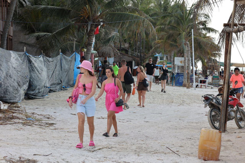 Holbox Plus+Cenote erkunden