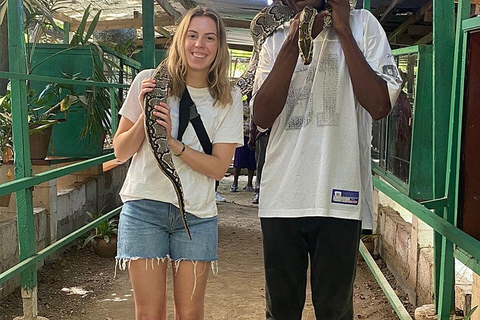 City tour em Mombaça com experiência de crocodilos em Mamba Village.