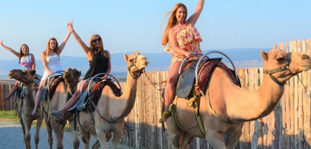 Visit Agadir Sunset Camel Ride - Flamingo River Couscous with BBQ in Agadir