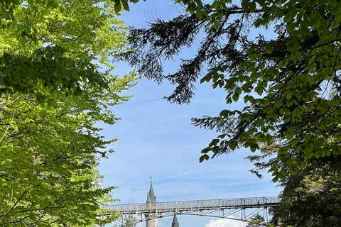 From Zurich: Neuschwanstein Castle Private Tour with Lunch