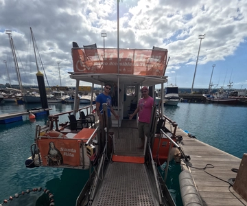 Tenerife: Accessible Cruise with Turtles, Dolphins & Whales