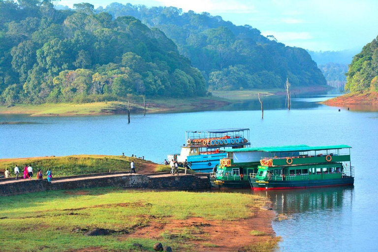 Nuitée à Periyar Wildlife Tour avec bain d&#039;éléphantsNuitée, Periyar Wildlife Tour avec bain d&#039;éléphants