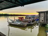 From Kuala Lumpur, Batu Caves and Firefly Watching Tour - Housity