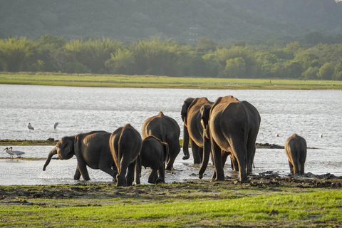 Kaudulla Wildlife & Landscape Photography Expedition
