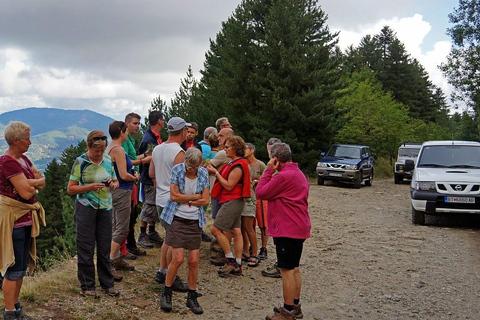 Jeep Safari Pelister, from Ohrid &amp; Bitola.Jeep Safary Pelister, from Ohrid.