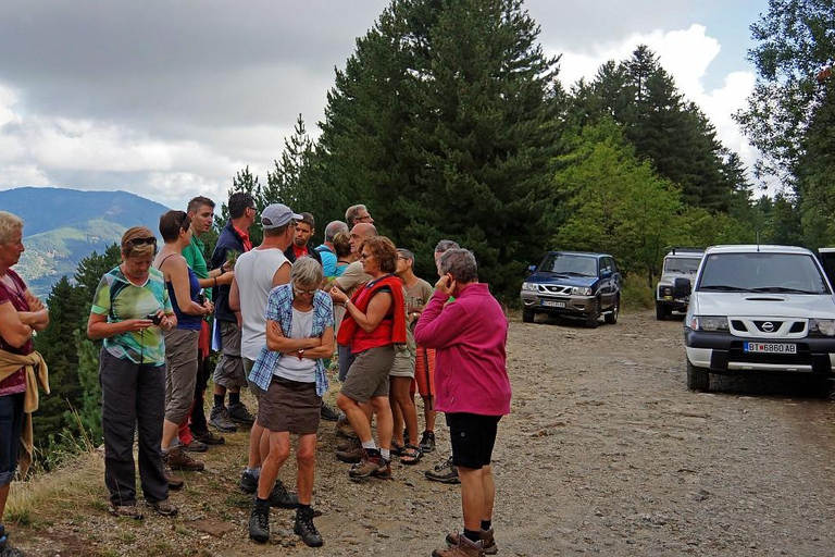 Jeep Safari Pelister, from Ohrid &amp; Bitola.Jeep Safary Pelister, from Ohrid.