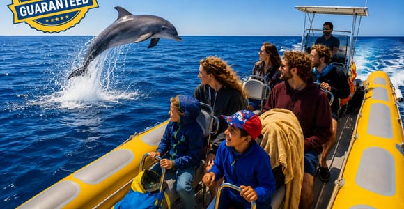 Can Picafort: Bootstour mit Delfinbeobachtung, Badestopp