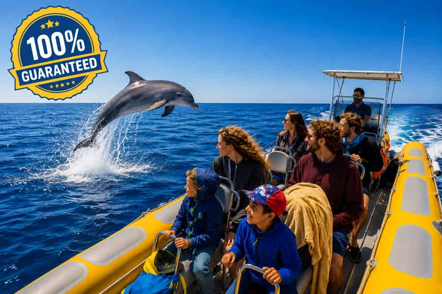 Can Picafort: Bootstour mit Delfinbeobachtung, Badestopp. Foto: GetYourGuide Can Picafort: Bootstour mit Delfinbeobachtung, Badestopp. Foto: GetYourGuide