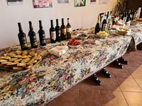 Marsala, Visite des caves avec dégustation de vin et produits locaux - Hizvo