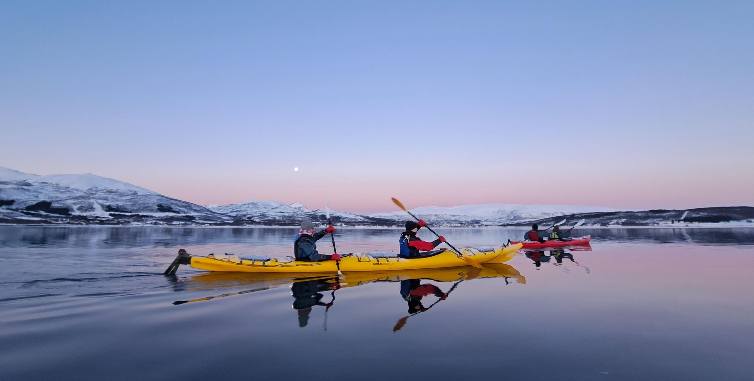 Tromsø: Leichte Winter-Kajaktour mit Robbenbeobachtung