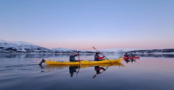 Tromsø: Easy Winter Kayaking Tour with Seal Watching