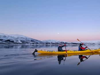 Easy Winter Kayaking Tour with Seal Watching