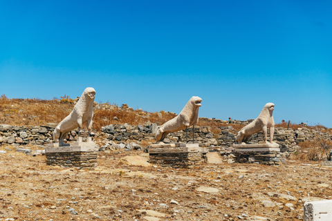 From Mykonos: Delos Guided Tour with Skip-the-Line Tickets Tour in English