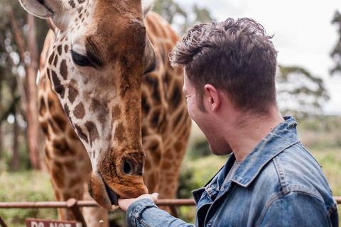 Viagem de um dia ao Parque Nacional de Nairobi e Centro de GirafasViagem Safári; Parque Nacional de Nairobi e Centro de Girafas