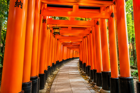 Kyoto/Osaka: Kyoto and Nara Private & Customizable Day Tour