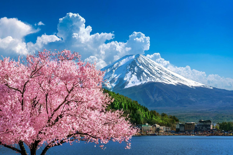 Tokyo: Mt. Fuji Private Scenic Tour with Custom Stops