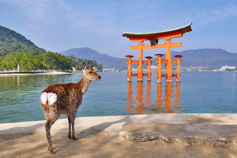 Private Tour of Hiroshima Peace Park & Miyajima Island