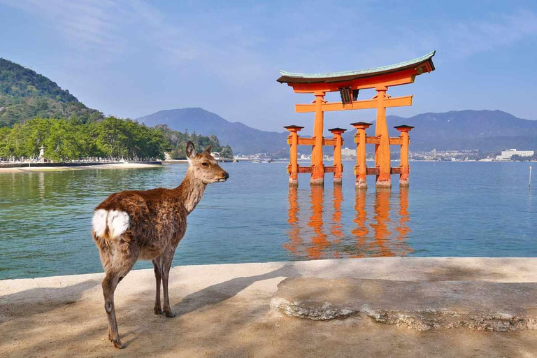 Private Tour of Hiroshima Peace Park & Miyajima Island
