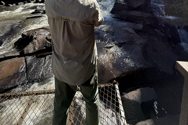 Hiking in Iguaçu National Park: A nature hike Trails in Iguaçu National Park: A hike through nature
