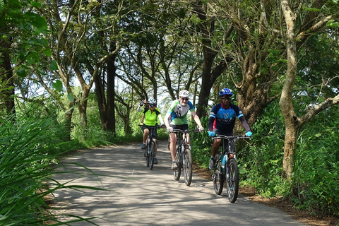 Tour in bici di 11 giorni alla scoperta delle spezie del Kerala