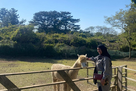 Les joyaux cachés de Jeju : Visite privée tout compris (guide certifié)