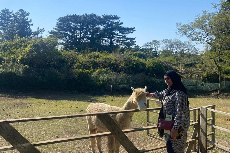 Gema oculta de Jeju: Tour privado todo incluido (Guía certificado)