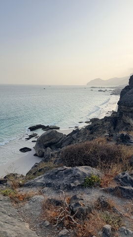 Salalah: West Salalah Tour with Fazayah Beach Swim, Turtles
