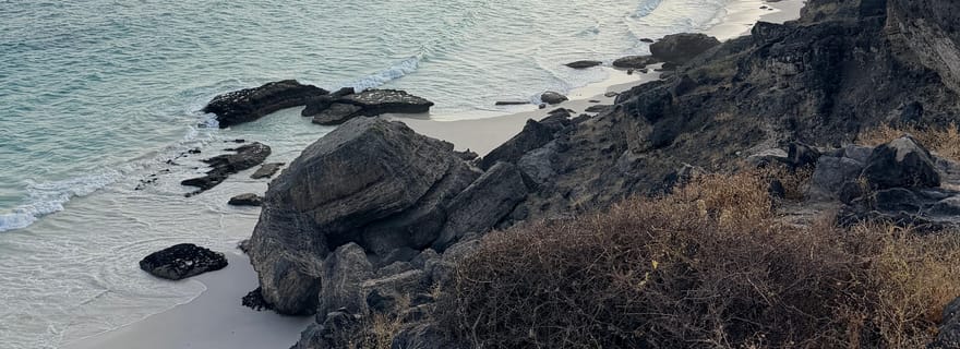 Salalah : excursion dans l'ouest de Salalah, baignade à Fazayah et tortues