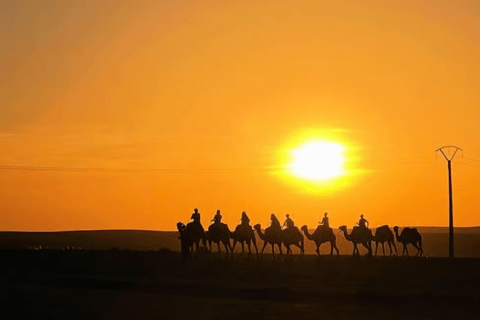 Marrakech: Agafay Desert Quad & Camel Rides with Dinner Show