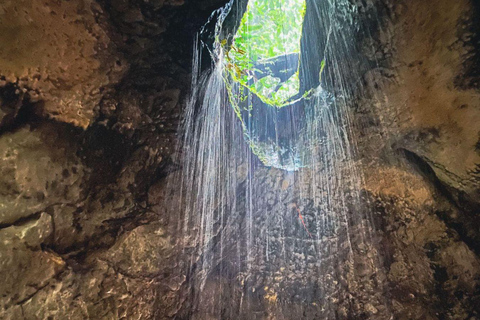 Manaus: Ein-Tages-Tour, Wasserfälle, Presidente Figueiredo