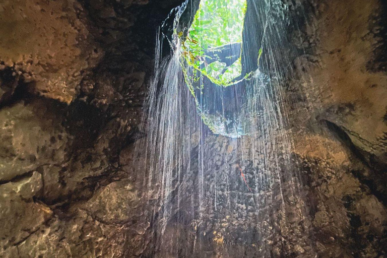 Manaos: Excursión de un día, Cascadas, Presidente Figueiredo