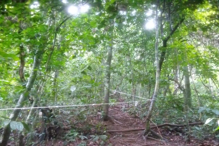 Sumatra: 3-Day Unique Jungle Experience & Exploring Wildlife