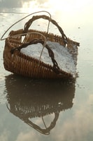 Kep Coastal Insight by Discovery Center, Kep West - Housity