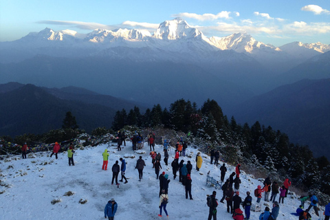 Pokhara: 4-dniowa wędrówka po Poon Hill