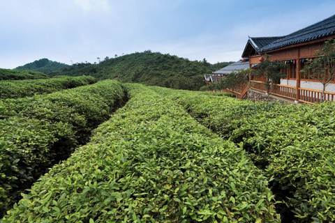 From Shanghai: West Lake Hiking Day Trip with Longjing Tea private tour option