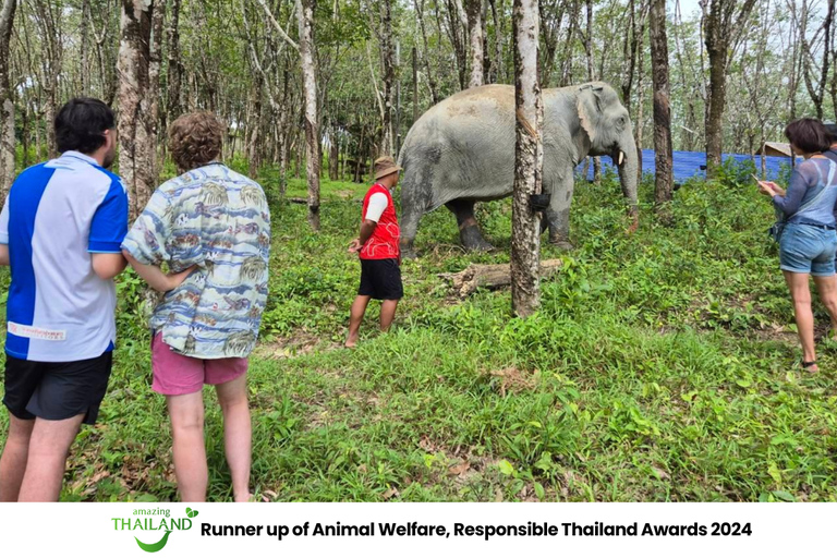 Khao Lak: Guided Tour to Elephant Sanctuary & Hotel Transfer