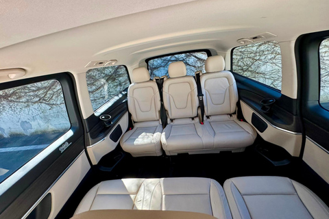 From Lucerne: 4-Country Day Trip by Mercedes-Benz V-Class