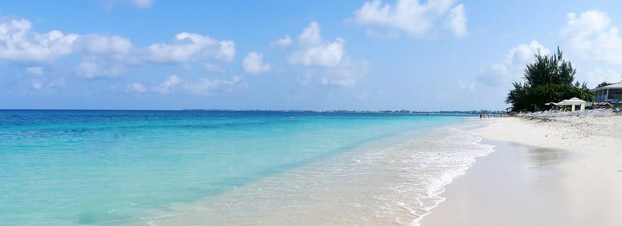 Grand Caïman : exploration de l'île locale