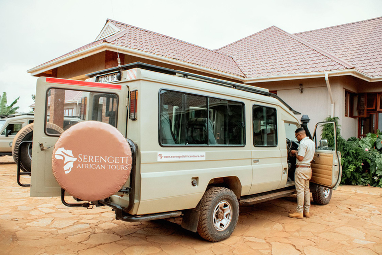 Arusha: Safari di 5 giorni nel Serengeti durante la stagione dei parti a NdutuArusha: Safari di 5 giorni nella stagione dei parti a Ndutu nel Serengeti