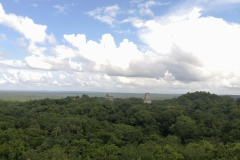 Beeindruckendes Tikal von Flores aus mit Mittagessen