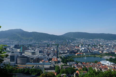 Bergen: Urban Mountain Hiking and History Tour