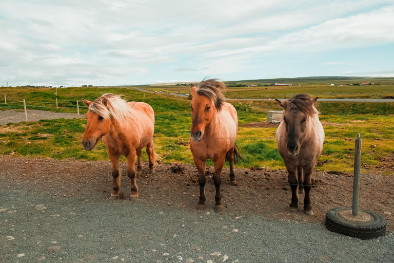 Reykjavik: South Coast Tour + Jökulsárlón Glacier Lagoon